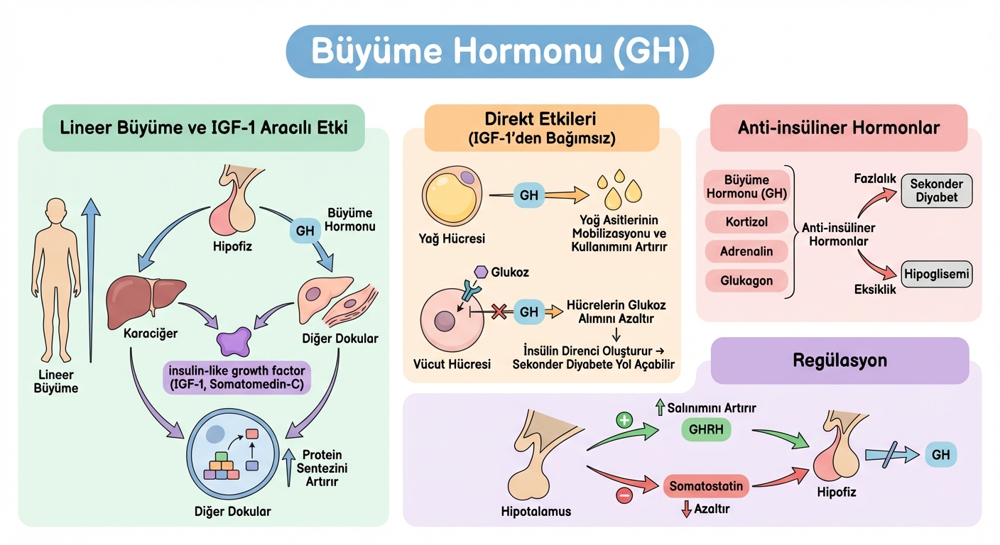 Generated illustration