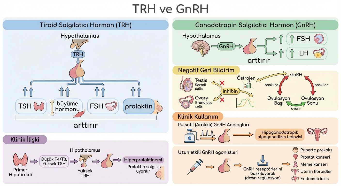 Generated illustration